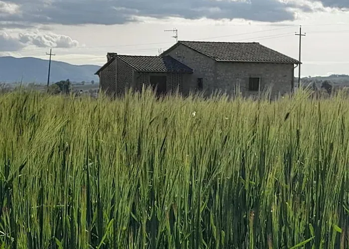 Casa Nel Grano: Casa Luciola Casa vacanze Pietra Rossa